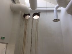 Nos prestations sur le secteur de Montélimar